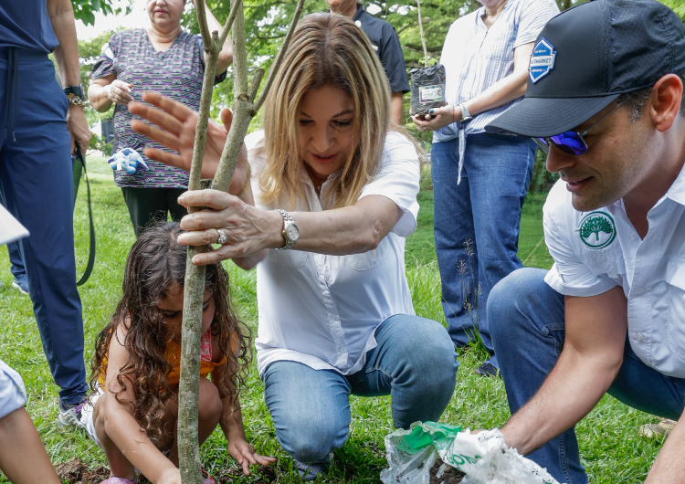 foto de portada de la publicación Siembra de 500 Guayacanes en el Parque Omar reúne a más de cien voluntarios