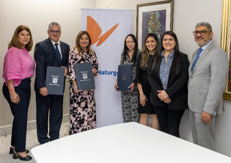 foto de portada de la publicación Alianzas estratégicas para el desarrollo sostenible de Panamá