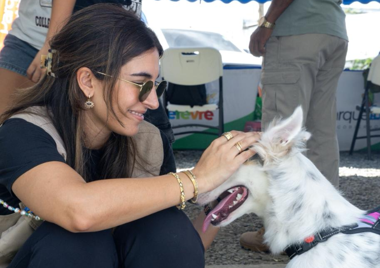 foto de portada de la publicación Misión Patitas refuerza su labor con jornadas de esterilización en 2026