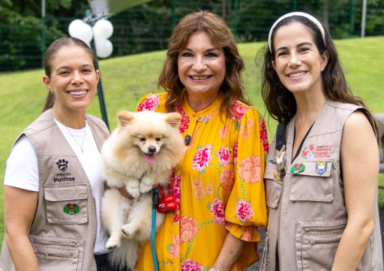 foto de portada de la publicación Parque Recreativo y Cultural Omar celebra la reapertura del renovado Parque para Perros