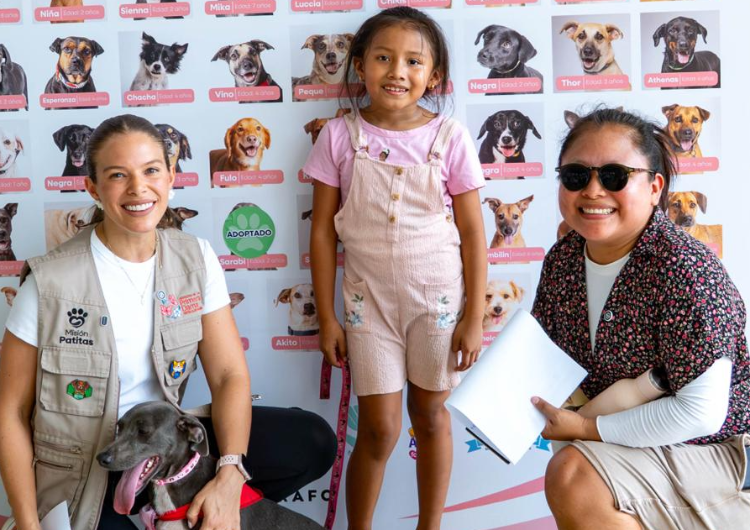 foto de portada de la publicación AdoptaTón 2026 culmina con 47 perros y gatos adoptados en su primera edición